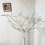 Maison 34 Avec Service De Navette *